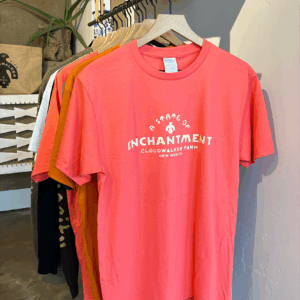 CloudWalker Farm 100% Cotton T-Shirt. "A State of Enchantment, New Mexico" Thunderbird Logo. Made in the USA.